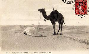 Images d'Algerie 220f